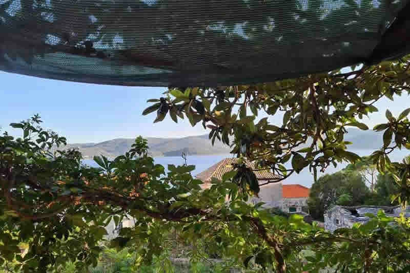Pogled Kro S