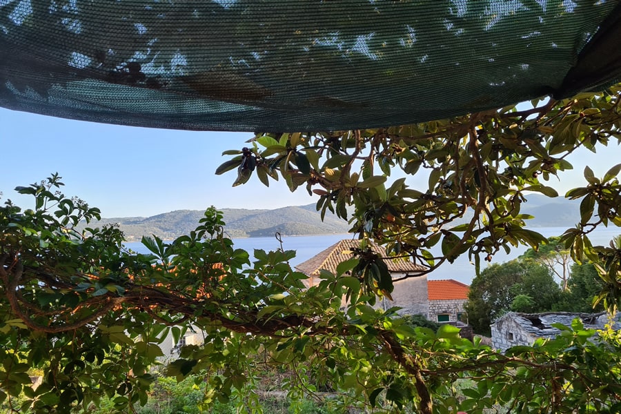 Apartmanipeljesac